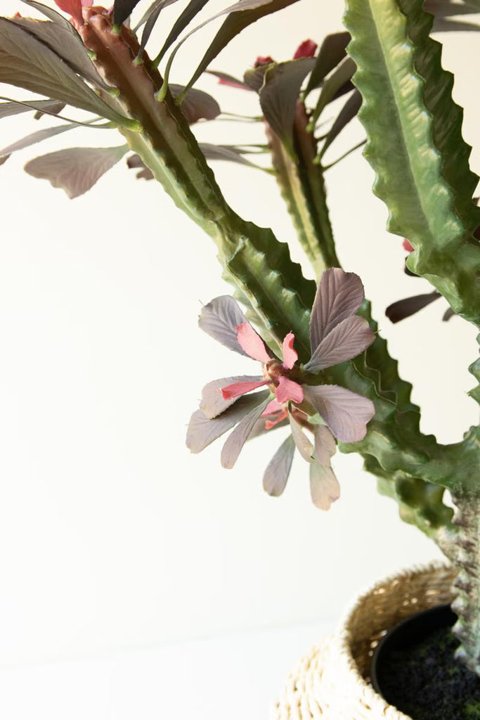 Artificial 35" Column Cactus in Plastic Pot – image 4
