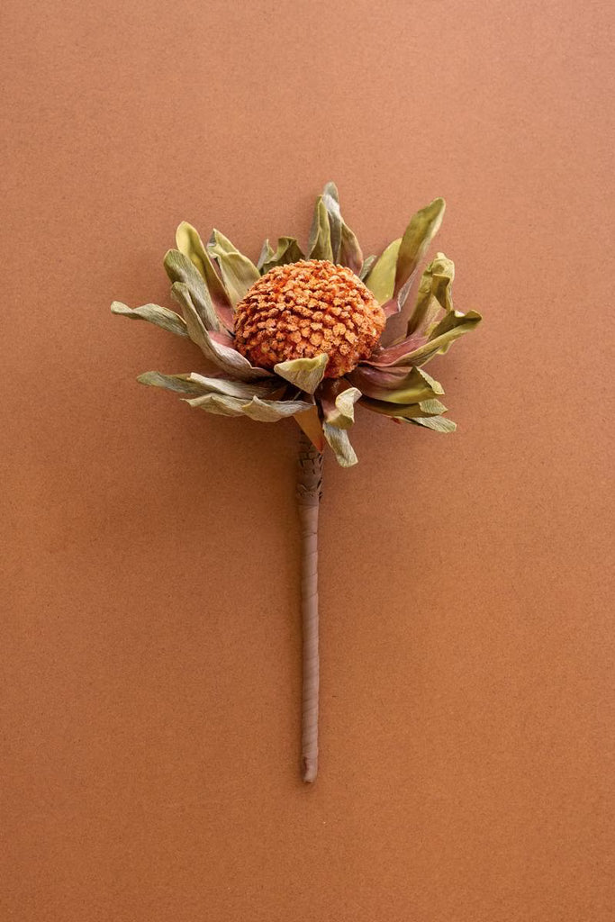 Set of 6 Botanica #2885 – image 1