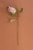 Set of 6 Botanica #9032 – image 5