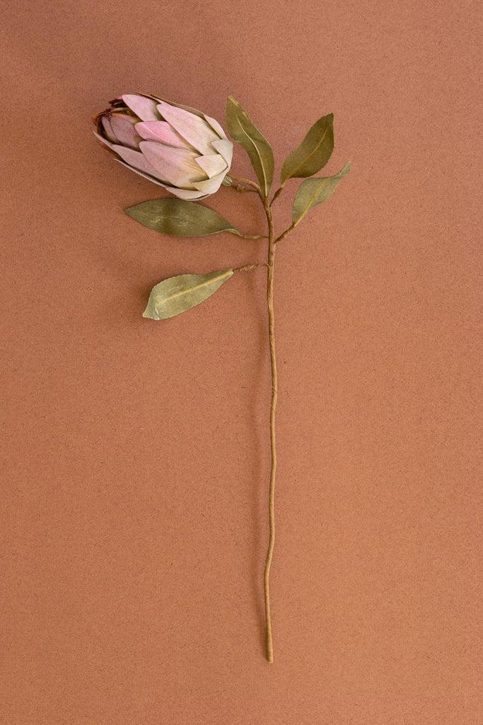 Set of 6 Botanica #9032 – image 5