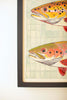 Framed Two Fish Painting – image 2