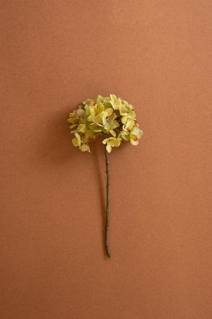 Set of 6 Botanica #2906 – image 1