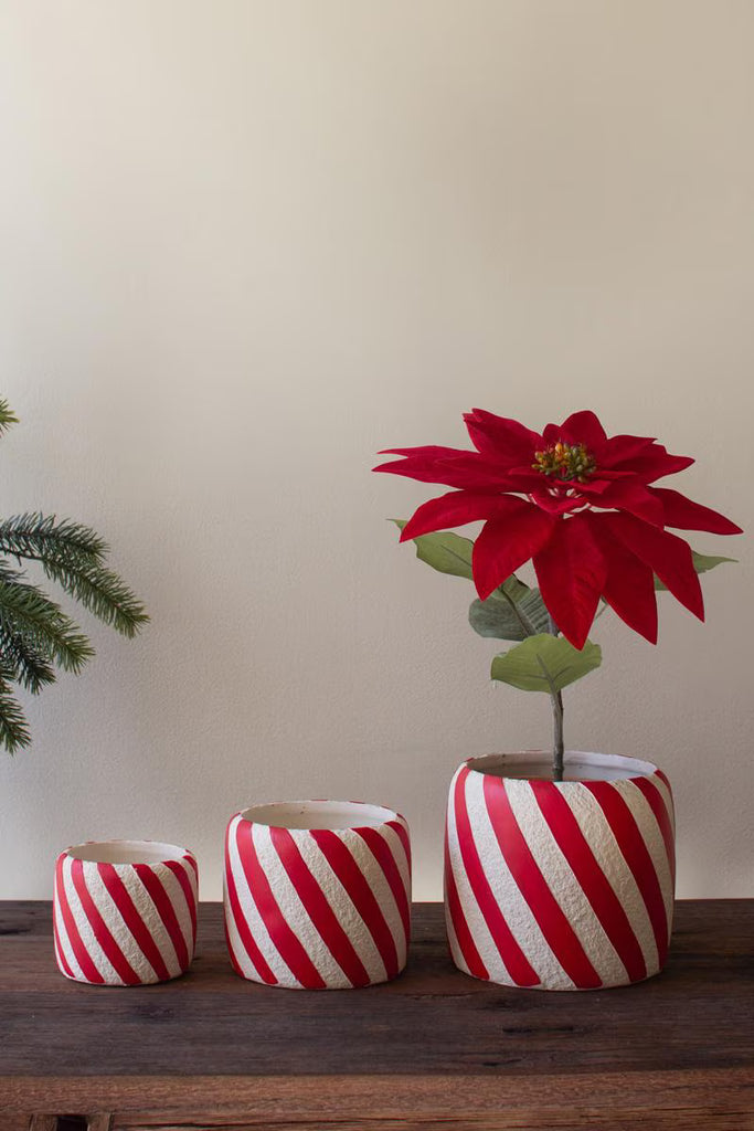 Set of 3 Concrete Candy Cane Planters - image 4