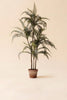 Artificial 46" Fern in Plastic Pot – image 4