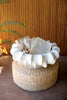 Organic White Ceramic Compote – image 1