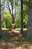 Metal Reindeer Yard Stake – image 6