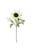 Set of 6 Botanica #2797 – image 4
