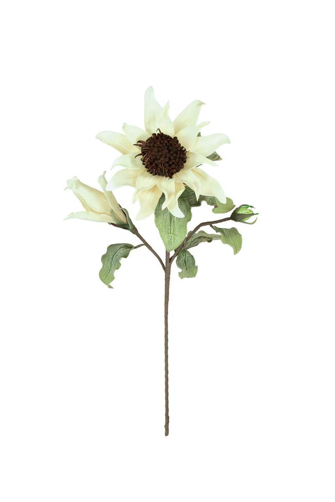 Set of 6 Botanica #2797 – image 4