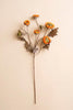Set of 6 Botanica #2890 – image 3