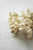 Bundle Of 24 Bleached Bullet Flowers On Stems - Set Of 6 — Kalalou NGLB1017