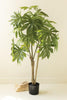 Artificial 4' Japanese Aralia in Plastic Pot – image 1