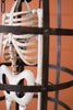Halloween Skeleton in a Cage – image 6