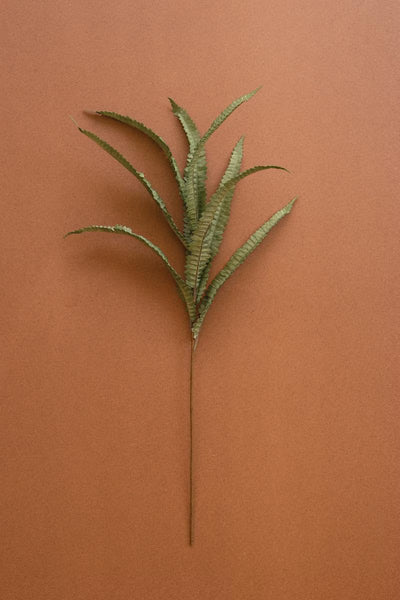 Set of 6 Botanica #9076 – image 1