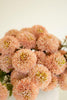 BUNDLE OF SEVEN  ARTIFICIAL ZINNIAS - LIGHT PINK — Kalalou CHAL1005
