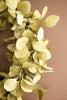 Set of 2 Botanica Wreath #9064 – image 3
