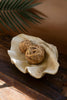 Giant Resin Clam Shell – image 1