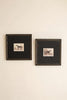 Set of 2 Framed Horses Print Under Glass – image 4