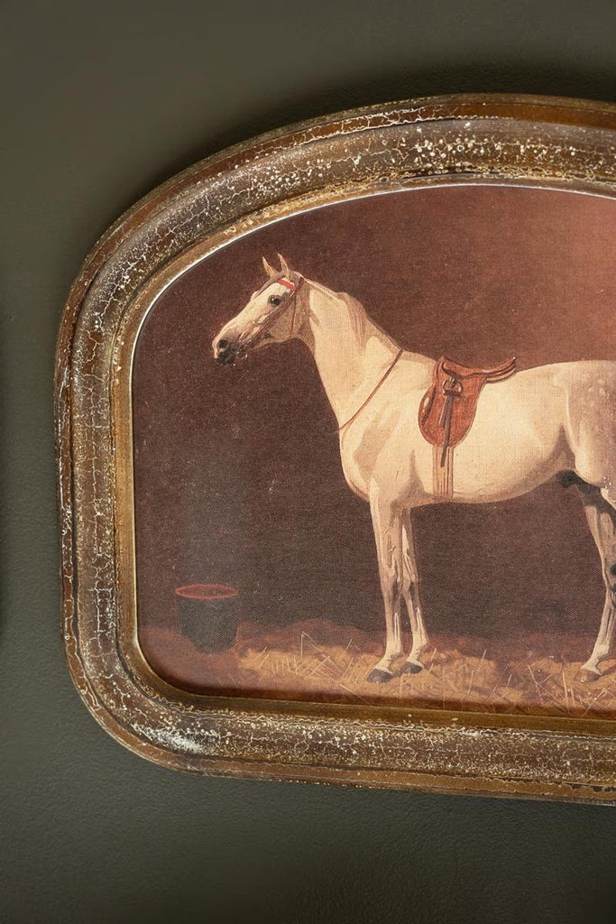 SET OF TWO FRAMED HORSE PRINTS UNDER GLASS — Kalalou CMK1222