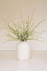 Set of 6 Botanica #3366 – image 2
