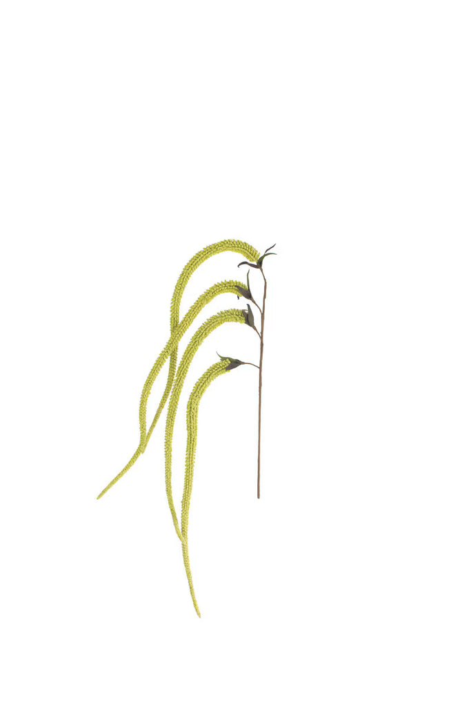 Set of 6 Botanica #9029 – image 2
