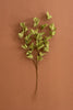 Set of 6 Botanica #9035 – image 4