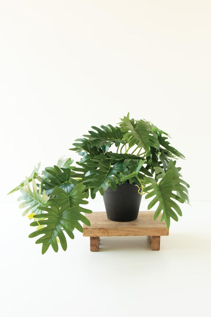 Set of 6 Artificial Mini Philodendron in a Black Plastic Pot – image 1