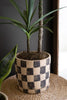 SET OF THREE CHECKERED CLAY PLANTERS WITH TRAYS — Kalalou H4427