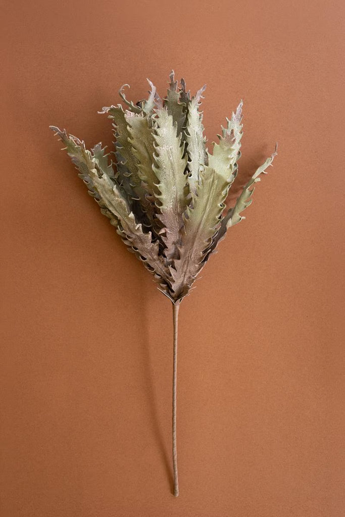 Set of 6 Botanica #3658 – image 5
