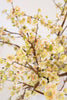 Set of 6 Botanica #2881 – image 3
