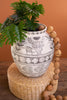 Terracotta Pot - Native - view 1