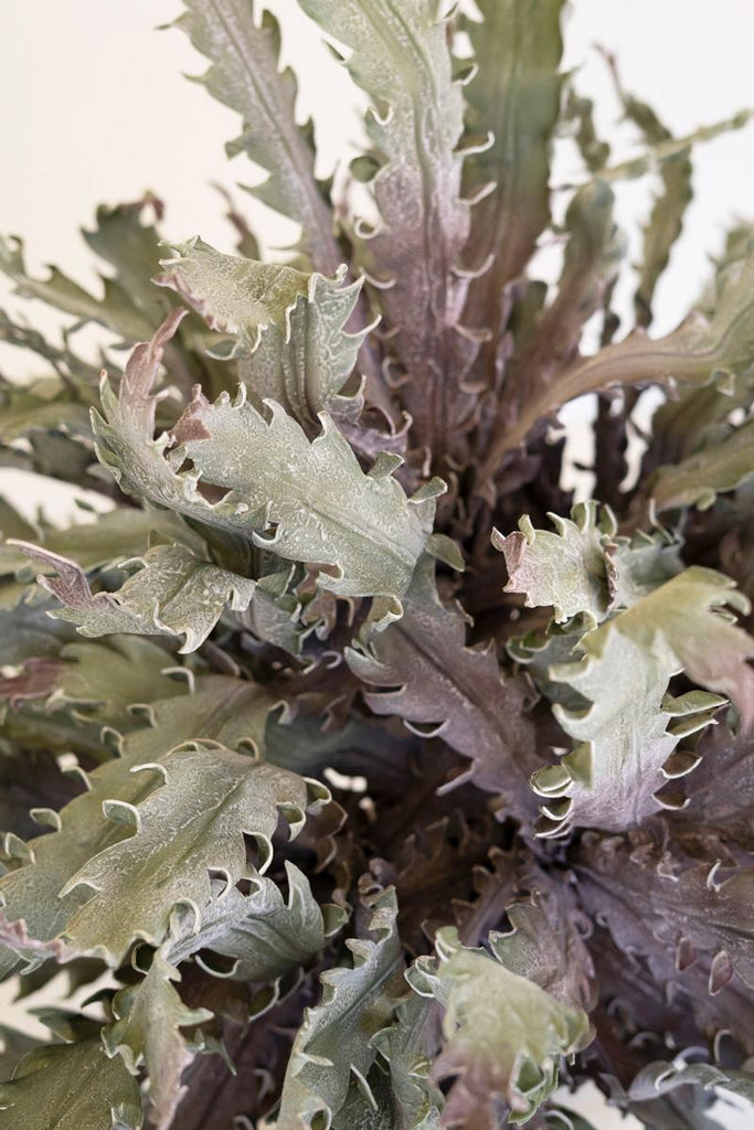 Set of 6 Botanica #3658 – image 3