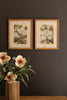 Set of 2 Framed Magnolia Prints Under Glass – image 1