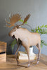 Rustic Metal Moose – image 1