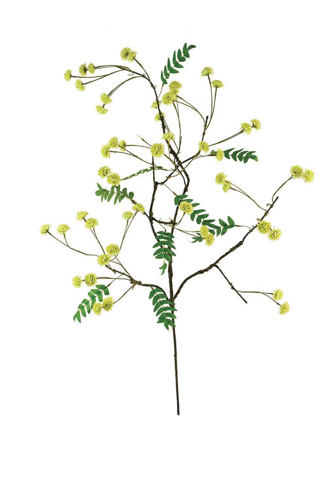 Set of 6 Botanica #3519 – image 4