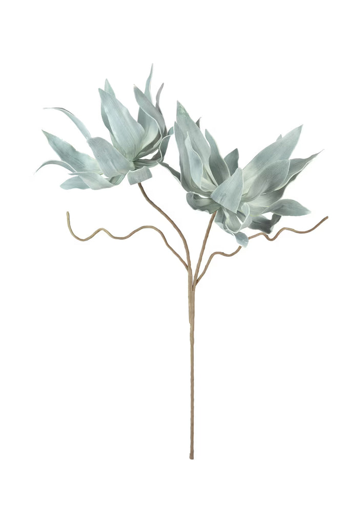 Set of 6 Botanica #2547 – image 1