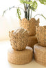 Set of 3 Water Hyacinth Baskets with Wavy Rims – image 3
