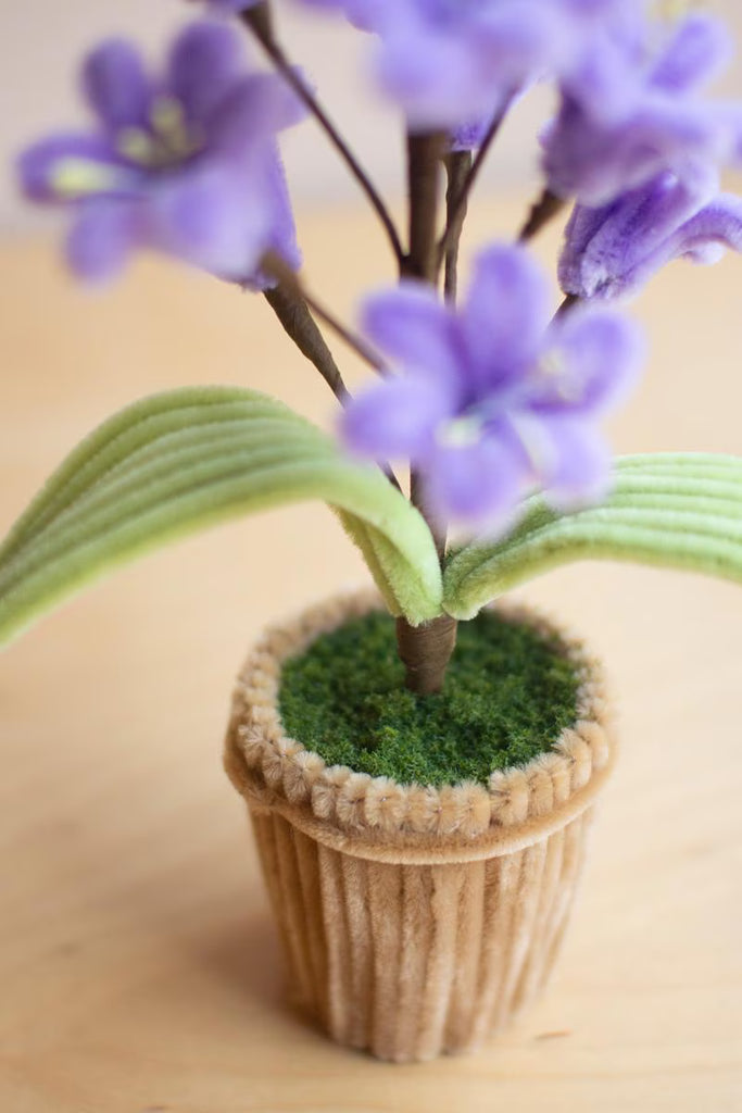 Set of 4 Potted Pipe Cleaner Botanica – image 3