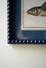 Set of 2 Navy Framed Fish Prints Under Glass – image 2