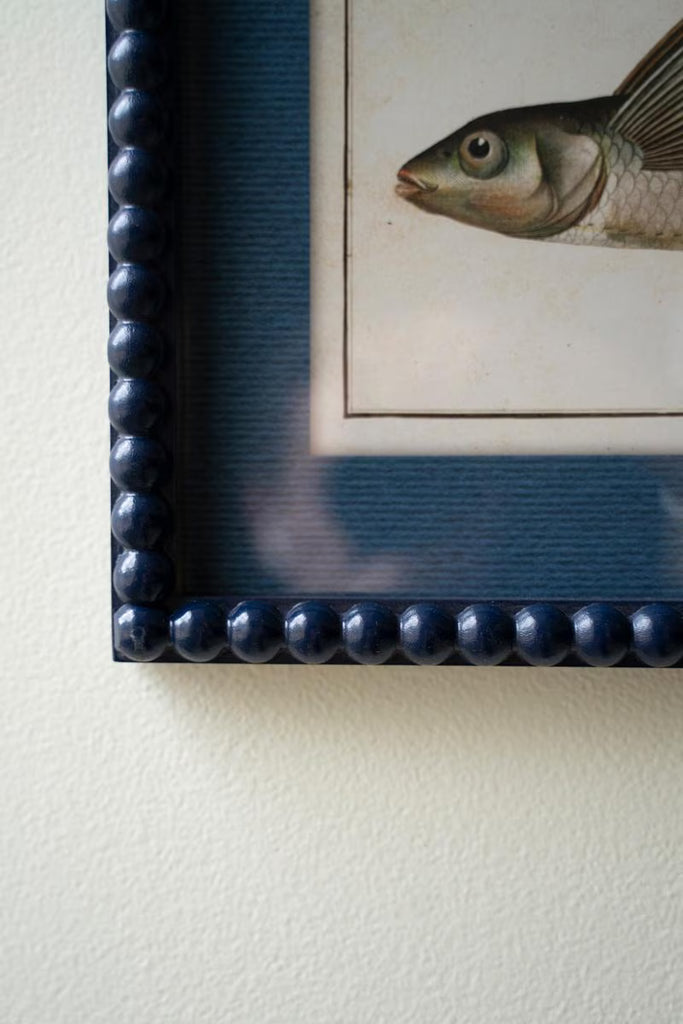Set of 2 Navy Framed Fish Prints Under Glass – image 2