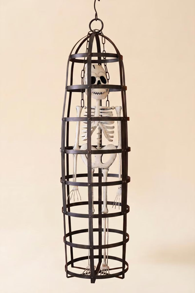 Halloween Skeleton in a Cage – image 3