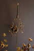 Antique Brass Fruit Tree Taper Wall Sconce - image 3