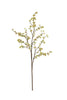 Set of 6 Botanica #2881 – image 4