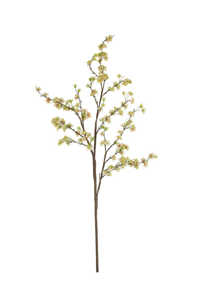 Set of 6 Botanica #2881 – image 4