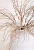 Set of 6 Botanica #9009 – image 3