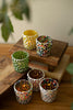 Set of 6 Mosaic Glass Votive Holders - view 2