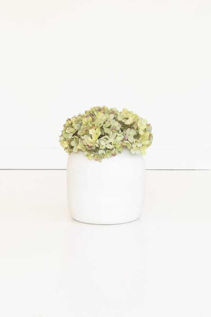 Set of 6 Botanica #2906 – image 2