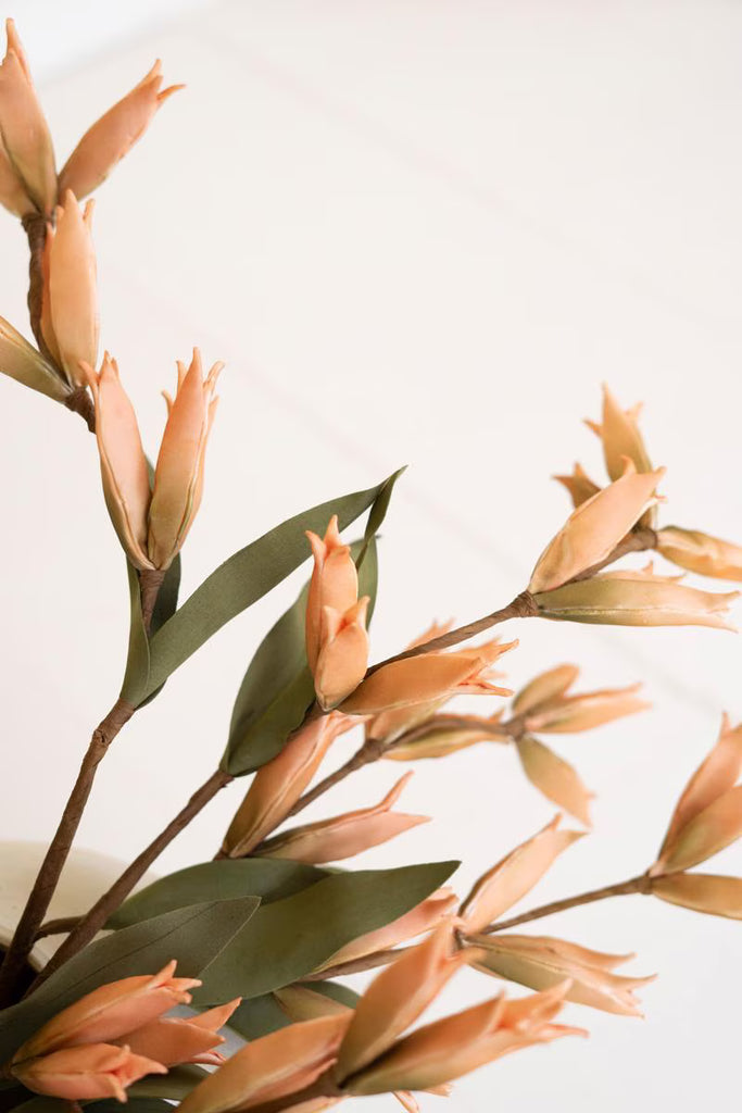 Set of 6 Botanica #9039 – image 5