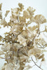 Set of 6 Botanica #3558 – image 3