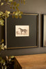 Set of 2 Framed Horses Print Under Glass – image 2