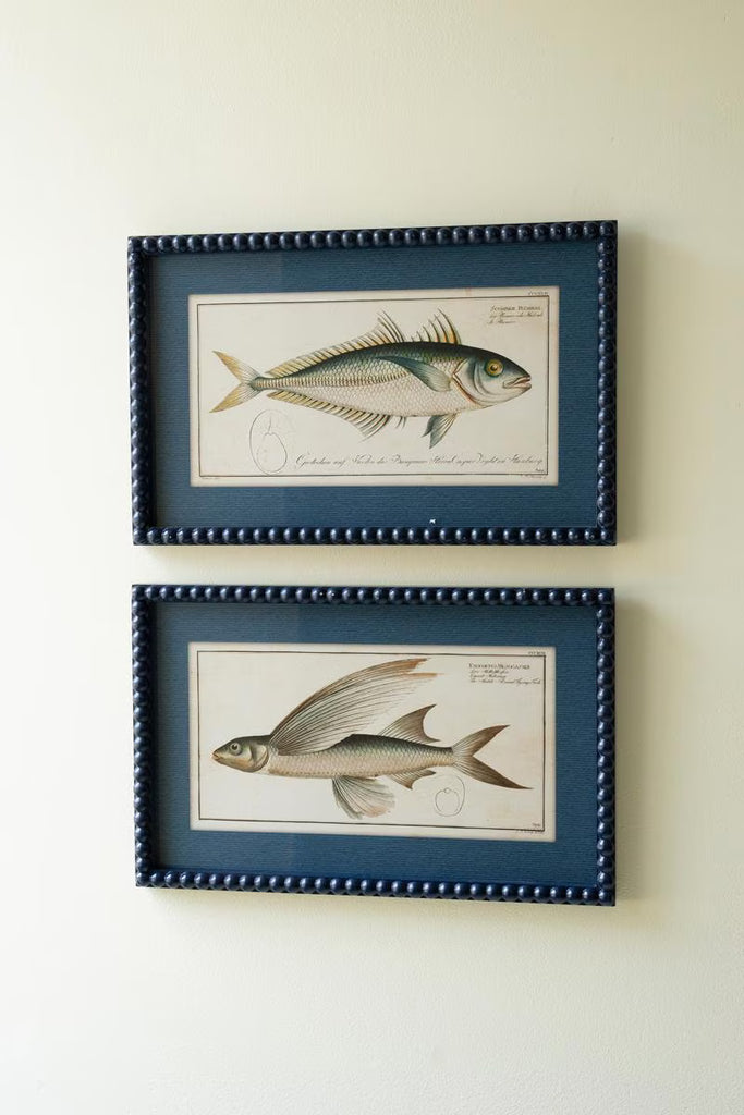 Set of 2 Navy Framed Fish Prints Under Glass – image 3